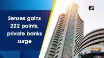 Sensex gains 222 points, private banks surge	
