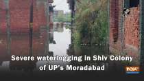 Watch: Severe waterlogging in Shiv Colony of UP