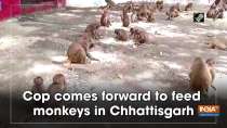 Cop comes forward to feed monkeys in Chhattisgarh