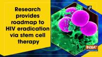Research provides roadmap to HIV eradication via stem cell therapy