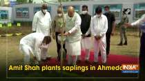 Amit Shah plants saplings in Ahmedabad