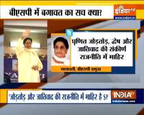 BSP president Mayawati slams Samajwadi party