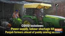 COVID lockdown: Power supply, labour shortage hit Punjab farmers ahead of paddy sowing season 