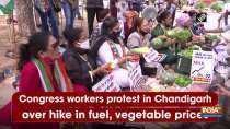 Congress workers protest in Chandigarh over hike in fuel, vegetable prices