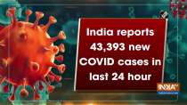 India reports 43,393 new COVID cases in last 24 hour