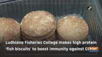 Ludhiana Fisheries College makes high protein 