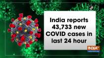 India reports 43,733 new COVID cases in last 24 hour