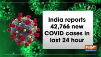 India reports 42,766 new COVID cases in last 24 hour