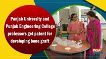 Panjab University and Punjab Engineering College professors get patent for developing bone graft