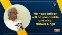 We hope Taliban will be reasonable and wise: Natwar Singh
