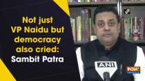 Not just VP Naidu but democracy also cried: Sambit Patra

