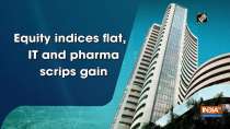 Equity indices flat, IT and pharma scrips gain