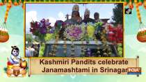 Kashmiri Pandits celebrate Janamashtami in Srinagar
