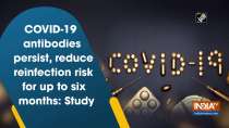 COVID-19 antibodies persist, reduce reinfection risk for up to six months: Study