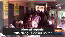 Meerut reports 205 dengue cases so far