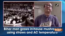 Bihar man grows in-house mushrooms using straws and AC temperature