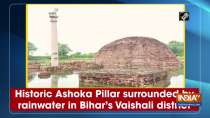Historic Ashoka Pillar surrounded by rainwater in Bihar