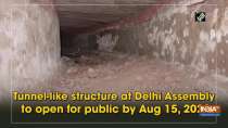 Tunnel-like structure at Delhi Assembly to open for public by Aug 15, 2022