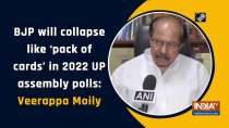 BJP will collapse like 