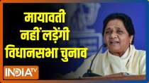 Mayawati won