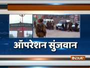 Jammu: Pakistan violates ceasefire in Poonch