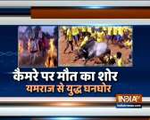 India TV special report on Jallikattu