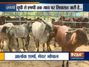 UP: Yogi Adityanath govt to impose additional cess on wine, beer for cow welfare