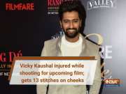 Vicky Kaushal injured while shooting for Bhanu Pratap Singh's horror film; gets 13 stitches on cheeks