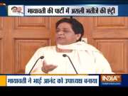 Mayawati appoints brother, nephew to top party posts, BSP to contest all future polls on its own