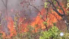 Fires continue to rage in Brazil's Amazon