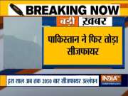Pakistan violates ceasefire along LoC in Jammu and Kashmir