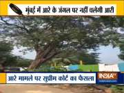 Aarey Forest case: Supreme Court asks Maharashtra Government to not cut more trees