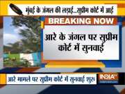 Special Supreme Court bench begins hearing in Aarey Forest tree felling case