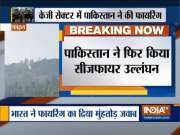 Jammu and Kashmir: Pakistan violates ceasefire in KG sector, Army jawan martyred