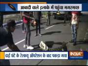 Crocodile spotted on road in Vadodra, rescued after 2 hours