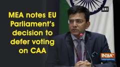 MEA notes EU Parliament's decision to defer voting on CAA