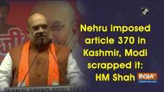 Nehru imposed article 370 in Kashmir, Modi scrapped it: Amit Shah