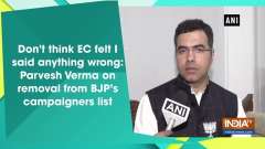 Don't think EC felt I said anything wrong: Parvesh Verma on removal from BJP's campaigners list