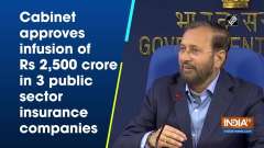 Cabinet approves infusion of Rs 2,500 crore in 3 public sector insurance companies