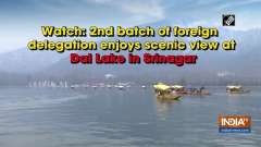 Watch: 2nd batch of foreign delegation enjoys scenic view at Dal Lake in Srinagar