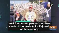 AAP fan puts on peacock feathers made of broomsticks for Kejriwal's oath ceremony