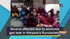 Several affected due to ammonia gas leak in Haryana's Kurukshetra