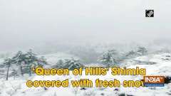 'Queen of Hills' Shimla covered with fresh snow