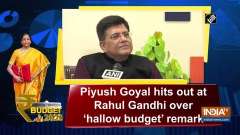 Piyush Goyal hits out at Rahul Gandhi over 'hallow budget' remark