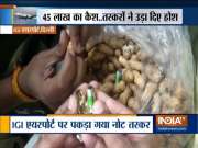 Foreign currency worth Rs 45 lakh hidden in Meatballs, Peanuts sized at Delhi airport