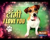 Ever seen a dog fashion show? Check out this one-of-its-kind event for pet lovers