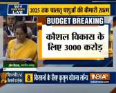 Govt to boost mobile phone, electrical equipment manufacturing: FM  Nirmala Sitharaman