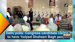 Delhi polls: Congress candidate claims to have 'helped Shaheen Bagh people'