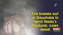 Fire breaks out at Gaushala in Tamil Nadu's Madurai, cows dead