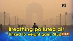 Breathing polluted air linked to weight gain: Study